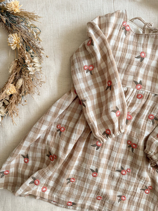 Ottilie Dress - Gingham Embroidery