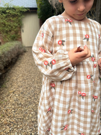 Ottilie Dress - Gingham Embroidery